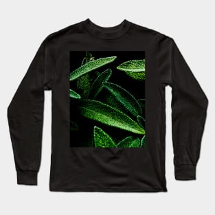 Sage Long Sleeve T-Shirt